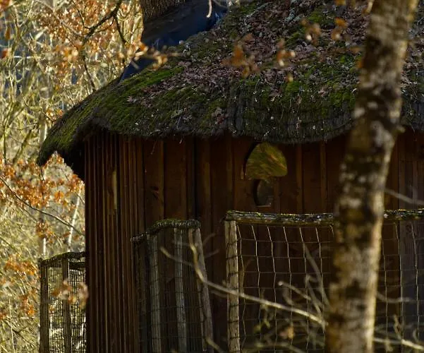 Les De * Brassac (Tarn-et-Garonne)