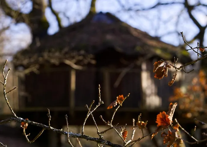 Les De * Brassac (Tarn-et-Garonne)