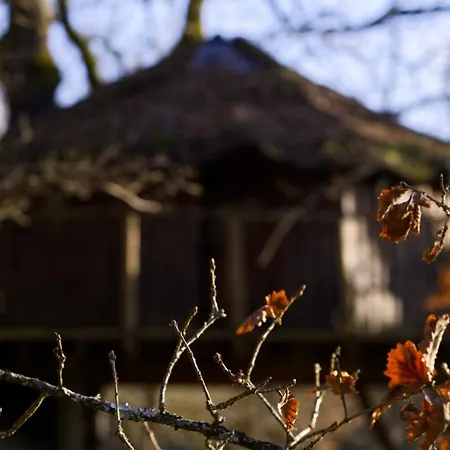 Les De * Brassac (Tarn-et-Garonne)